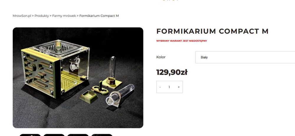 Piękne formikarium kompaktowe
