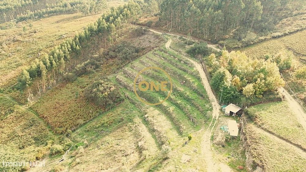 Terreno Rústico Gondufe - Ponte Lima