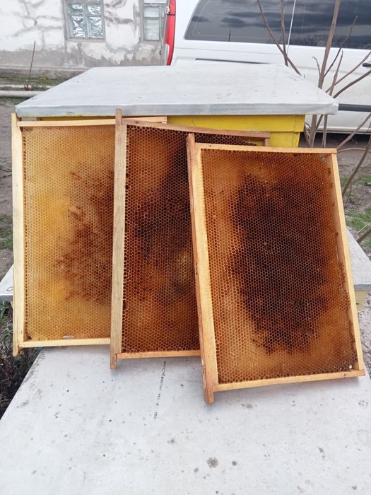 Рамки дадан суш для пчёл