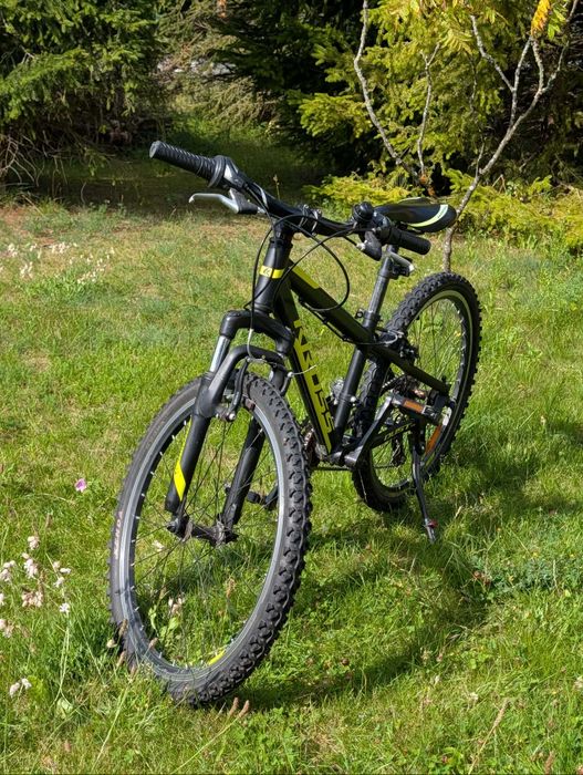Rower Cross Dust 24"