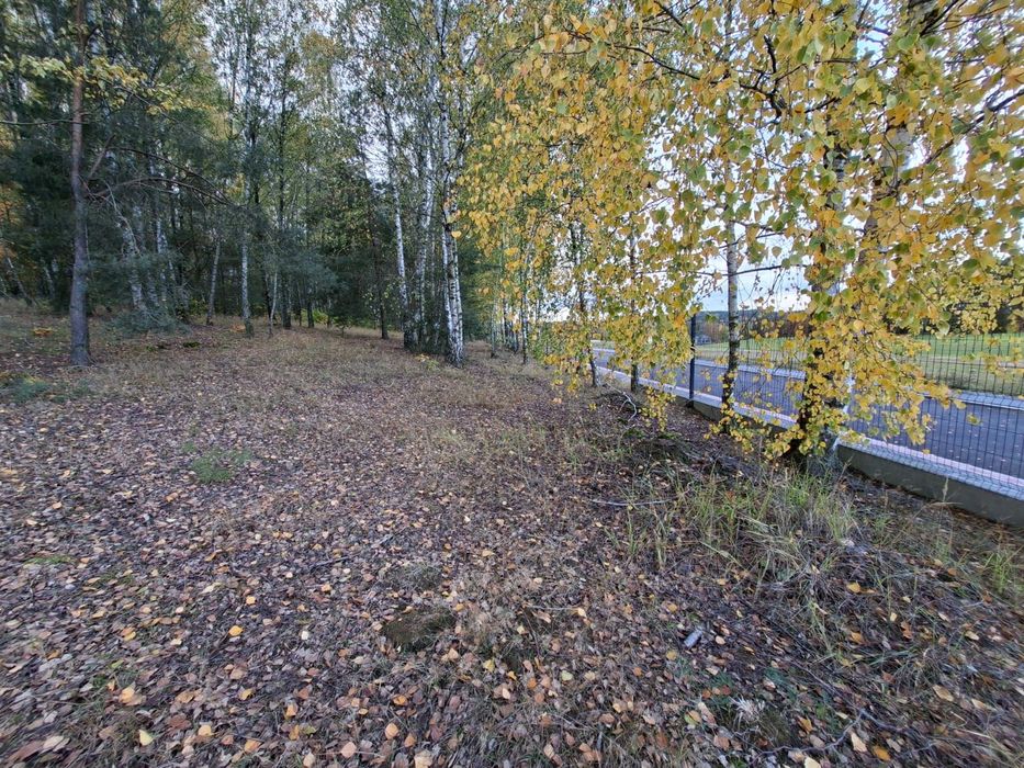 Działka Żelechlinek
