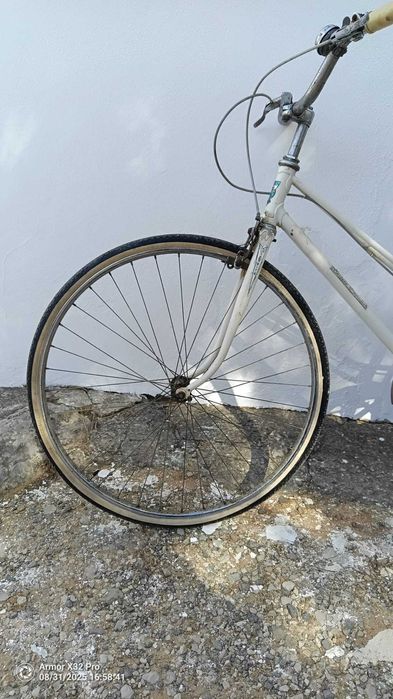 Bicicleta Pasteleira Orbita