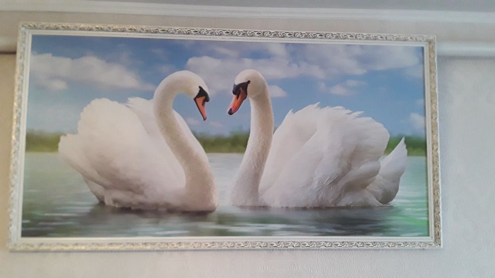 Продам   картины