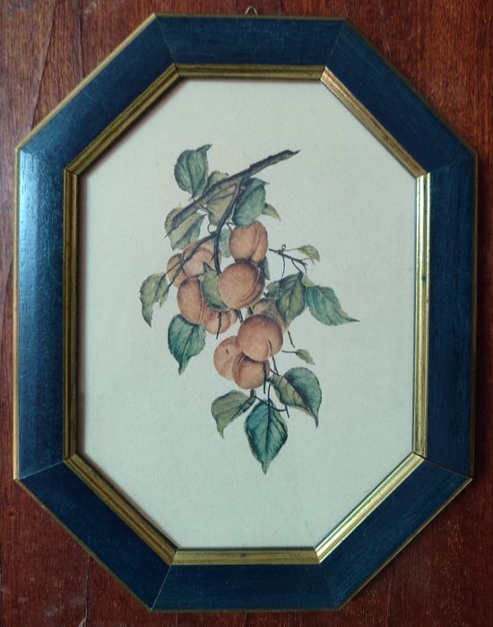 Conjunto de 4 quadros pequenos com frutas