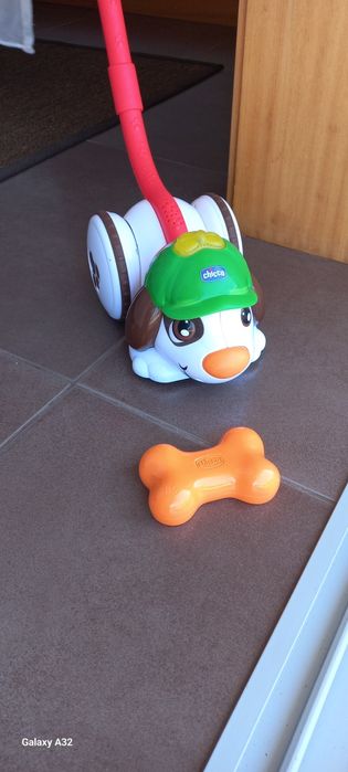 Cão detetive Chicco.