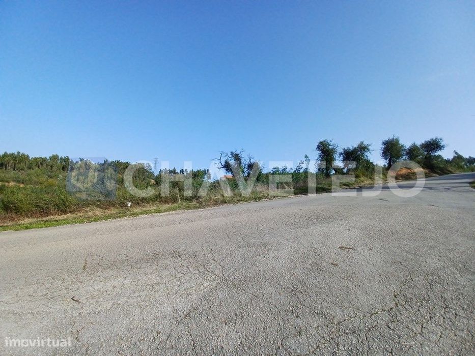 Terreno com 24.040 m2 perto de bons acessos. — Asseiceira, Santarém