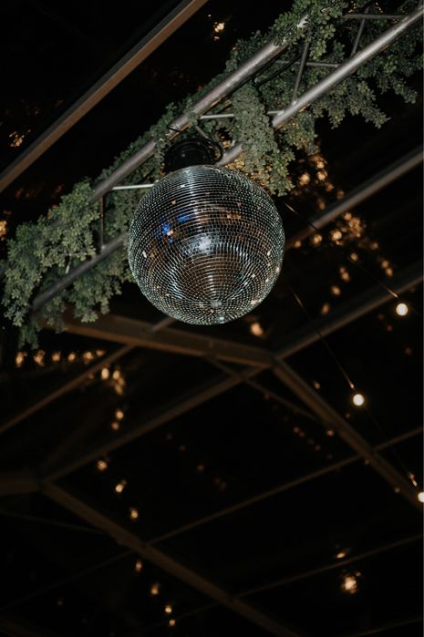 Planta artificial64586004726915122