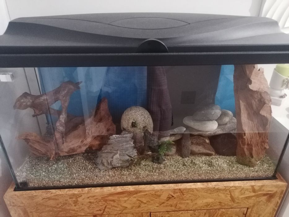 Aquário com móvel