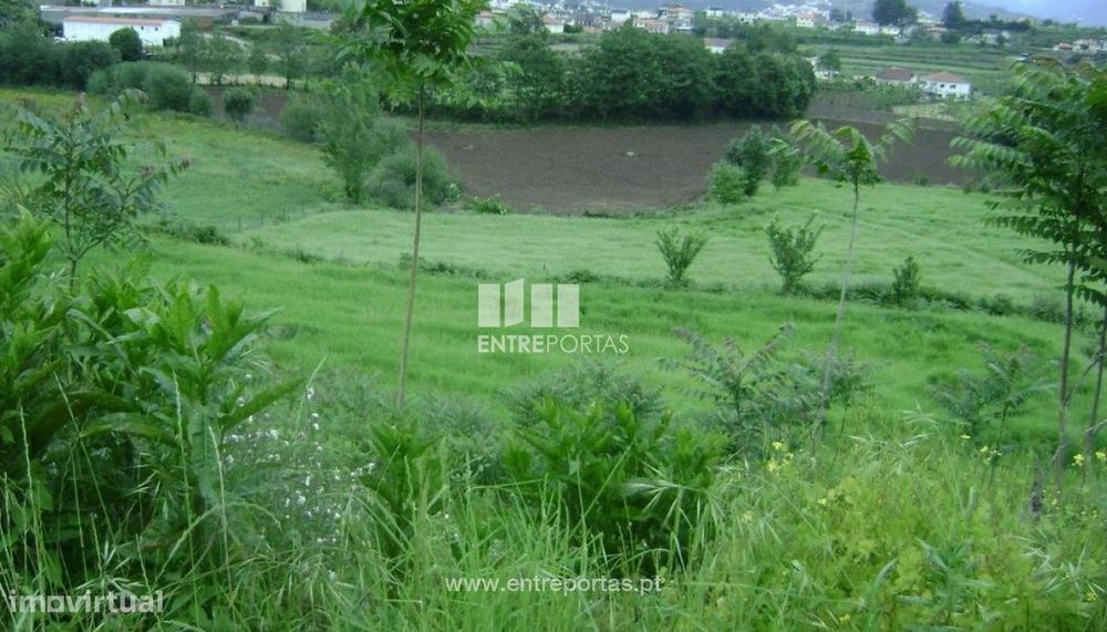 Land for Sale, Freixo de Baixo, Amarante