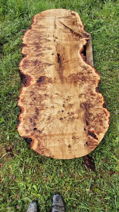 S1 258x100 czeczot mocne ukropienie i usłojenie pod żywicę