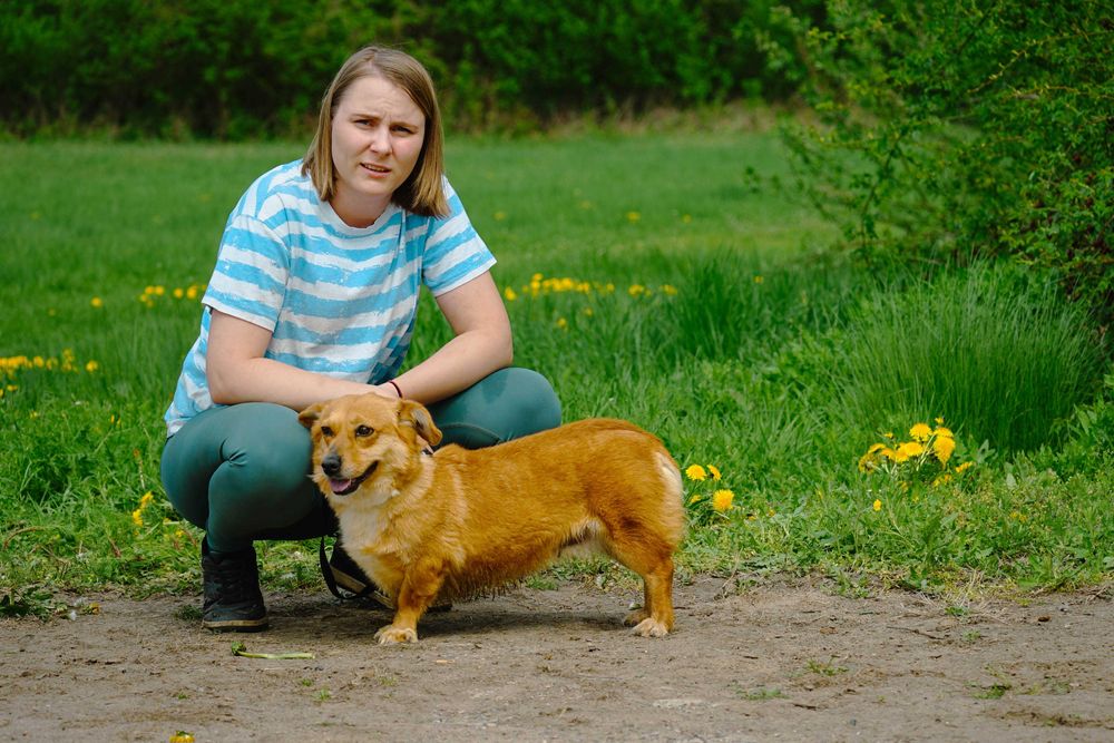 MIKA - cudowna, mała ruda sunia prosi o dom