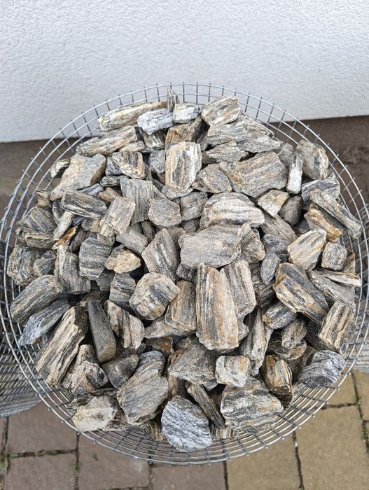 ‼️ dalmatyńczyk kamień ogrodowy grys granitowy