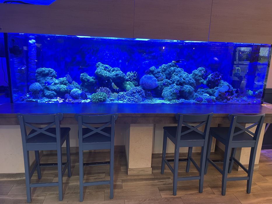 Skała do akwarium morskiego