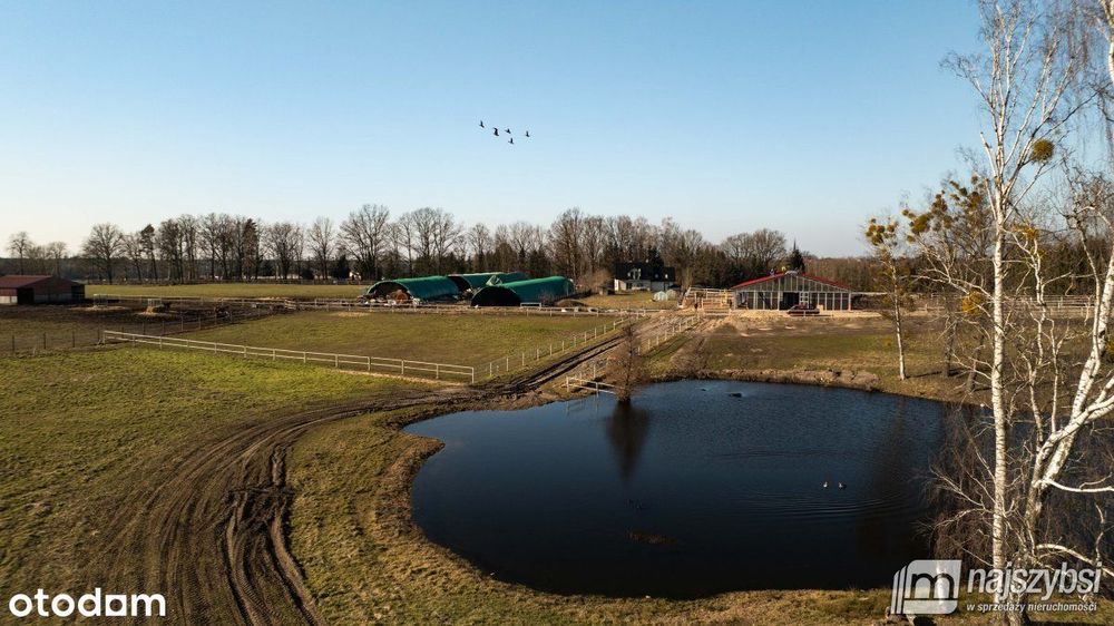 Poczernin/Przemocze - dom 222m 2 z dużą działką