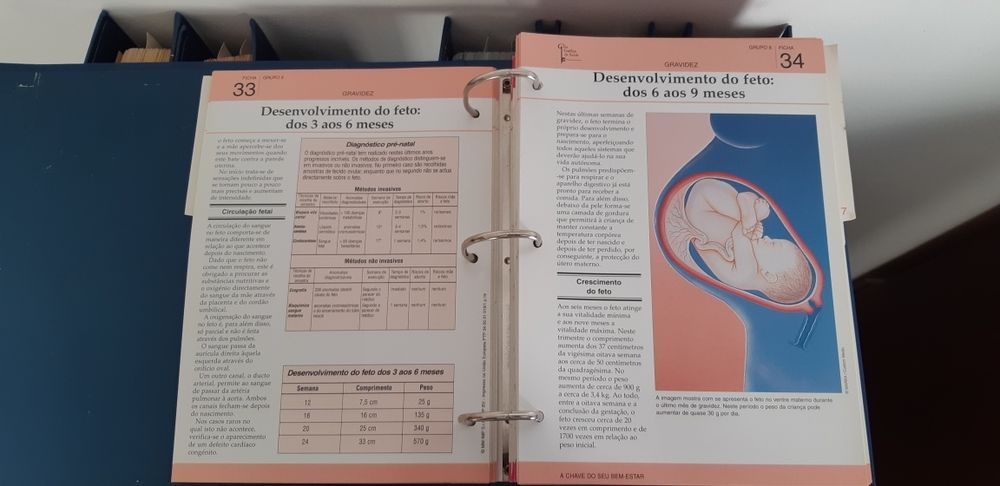 Guia Familiar da Saúde Completo