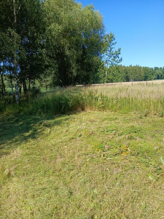 Czyszczenia działek i ogrodów
