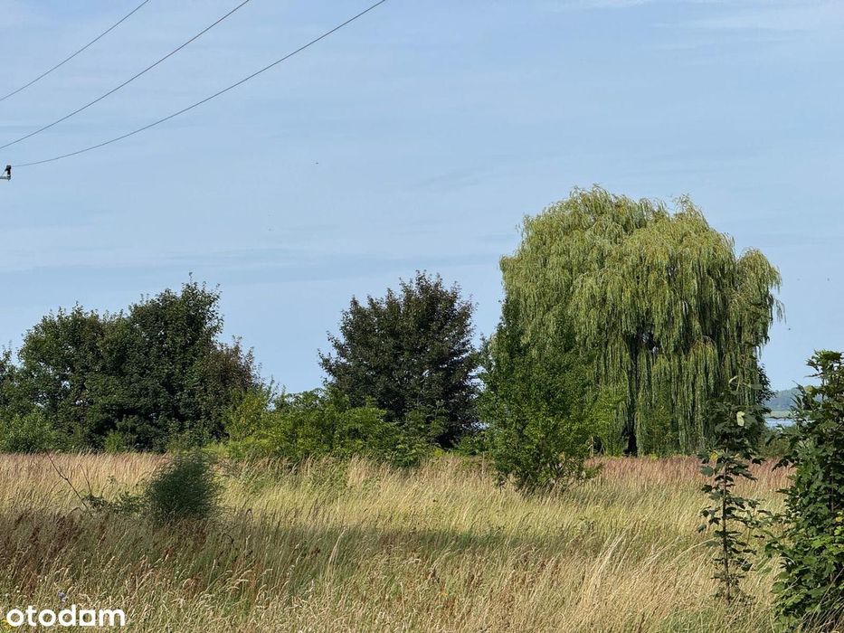 Działka 3000 m² na wyspie Wolin, nad wodą, blisko morza. – další