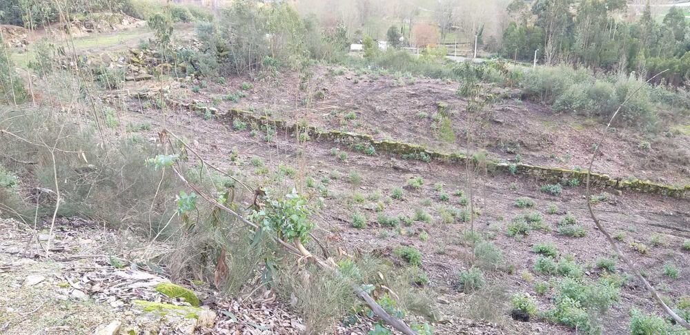 Penafiel-Terreno para construção com 5712m2 próximo parque cidade