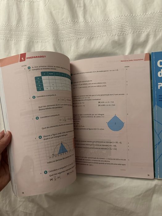 Prisma 9 Matemática  9.º Ano (Volume 1)