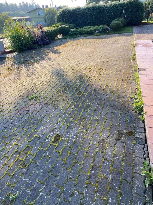 Pielegnacja zieleni i ogrodnictwo