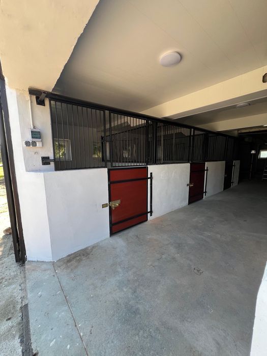 Do wynajęcia stajnia 6 boksów 3.5 ha wybieg