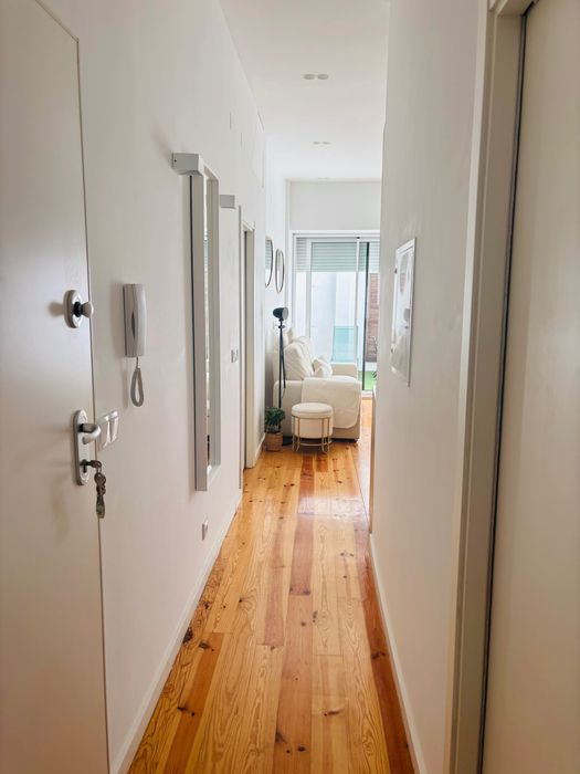 T1+1 com logradouro Olaias