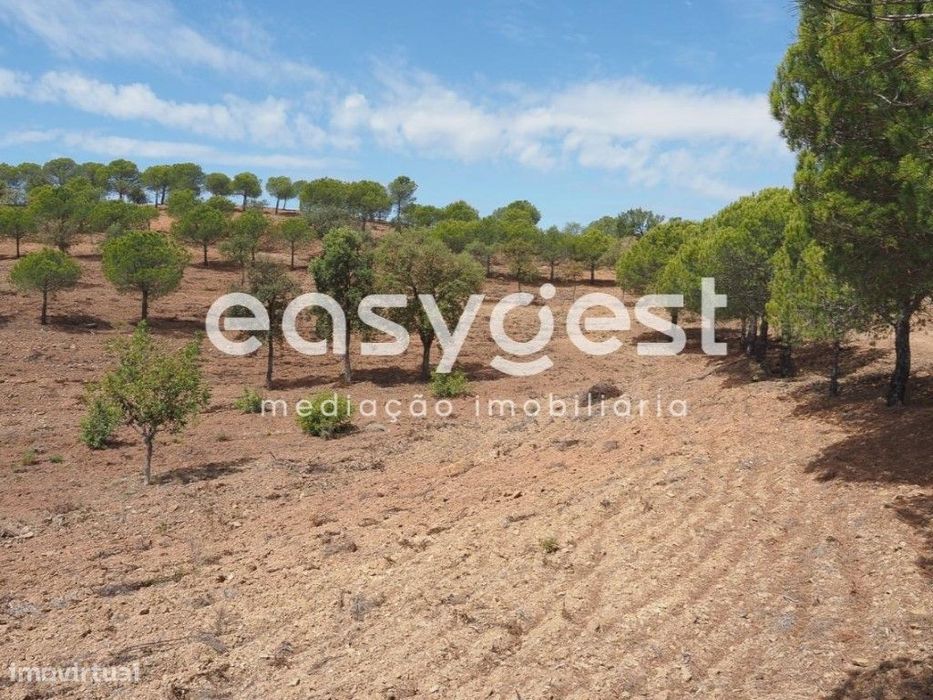 Terreno agrícola com pinheiros, oliveiras e sobreiros em Atalaias