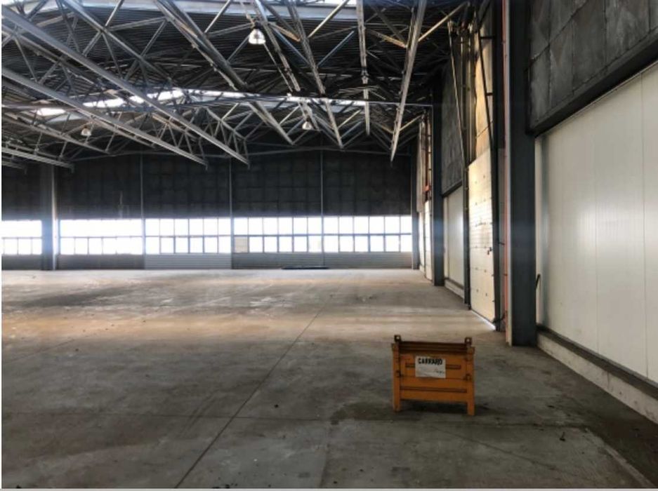 Hala magazynowa 4650 m² – Radomsko | Wynajem od stycznia 2027