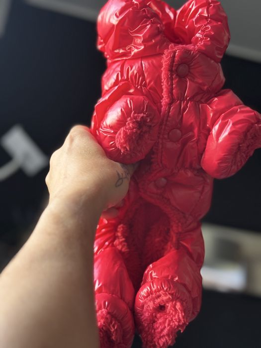 Ubranko zimowe dla pieska S