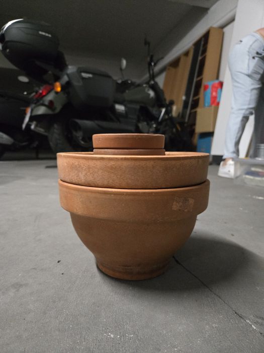 Vasos de vidro plantação