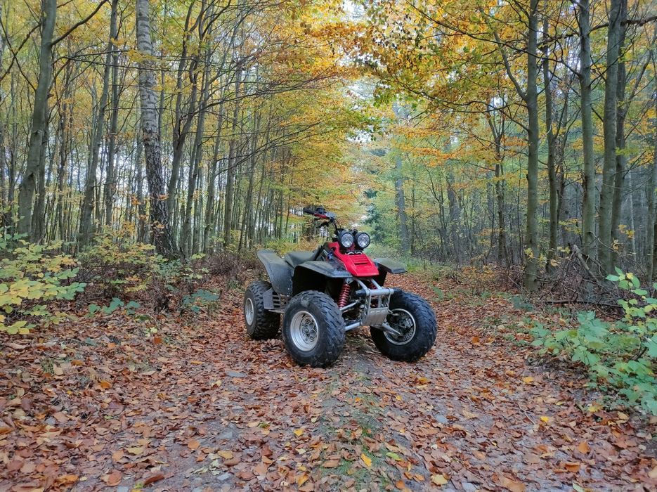 Yamaha Warrior YFM 350