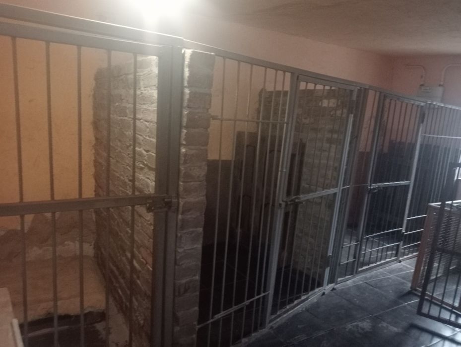 Продам бізнес перетримка собак та котиків