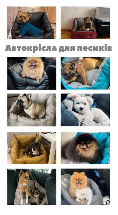 Автокрісло "BEIGE" для собак