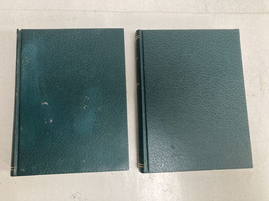 2 Livros Estatística Prof. Bento F. Murteira