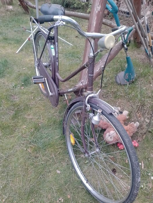 Rower Holenderka