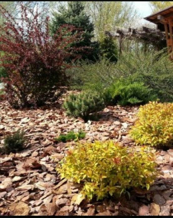 Кора СОСНОВА (мульча)