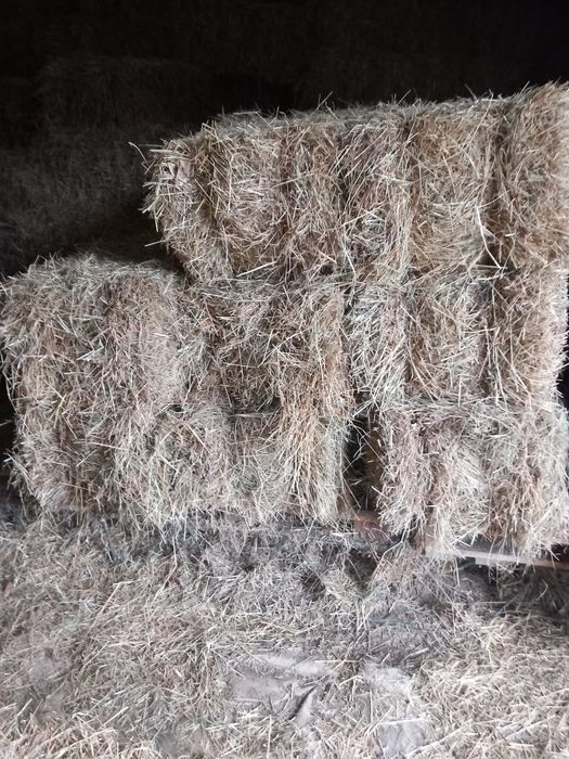 Fardos de erva seca