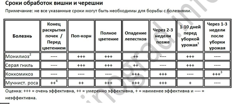 Обработка сада.Опрыскивание фруктовых. Обрезка сада.Садовник.