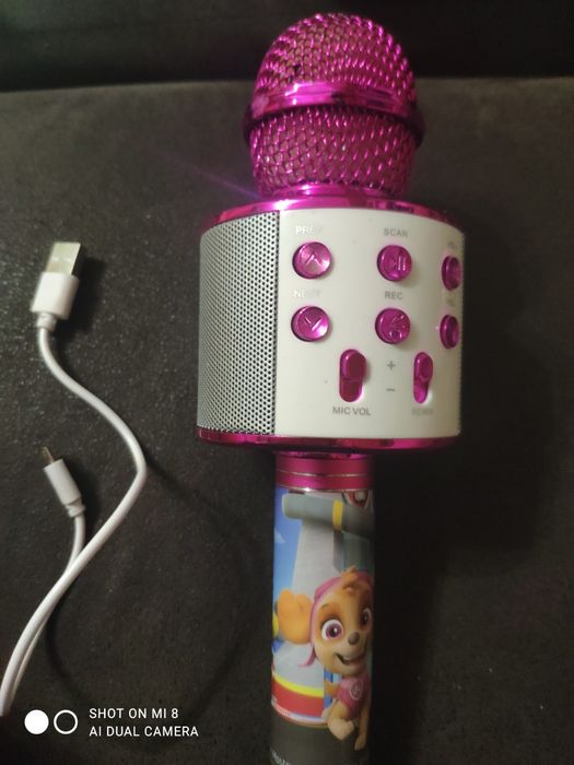 Mikrofon do karaoke dla dzieci Spin Master RMX-520212 różowy