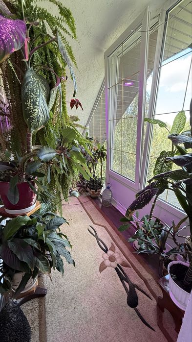 Продам будинок в СТ Чайка с. Ракщівка