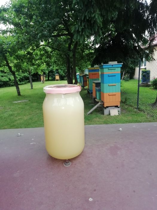 Miód z małej pasieki