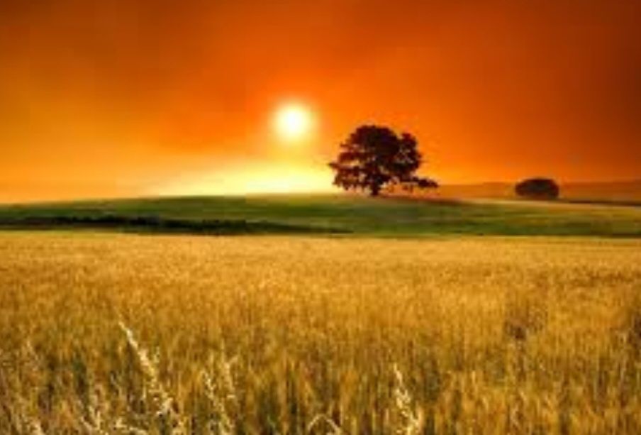 Продам фасадну ділянку