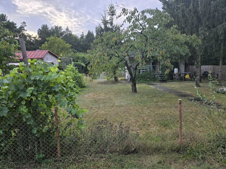 Działka ROD Miedzyń Prądy - murowany domek - Widok 3