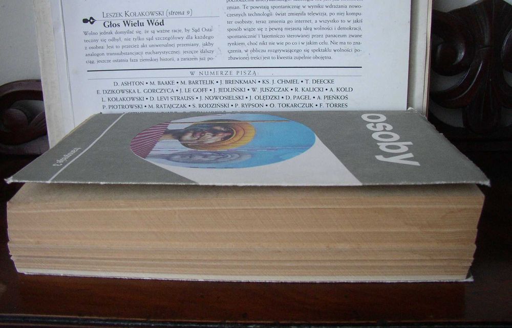 Maria Janion Osoby. Transgresje