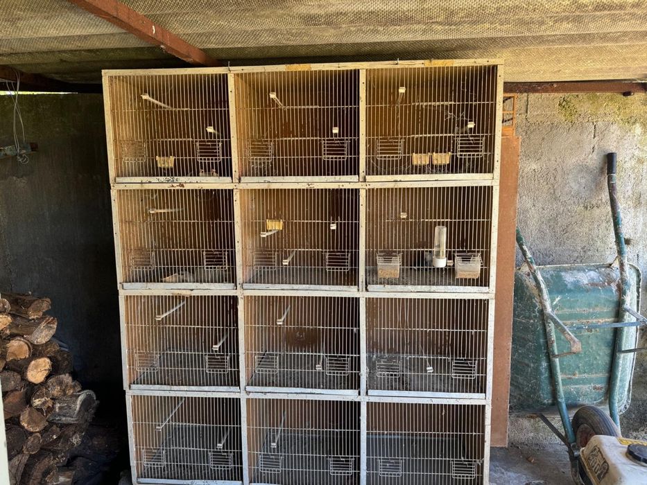 Vendo gaiola de passáros