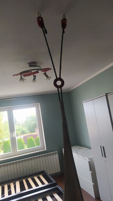 Bujak, kokon na sprzedaż