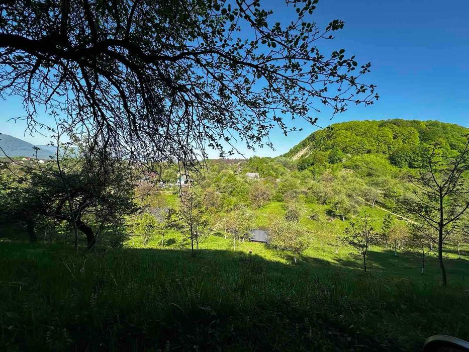 Продається дача в с. Бедевля