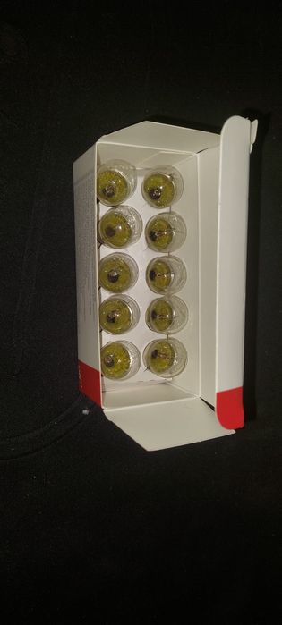 Lâmpadas Halogen bulbs R10W
