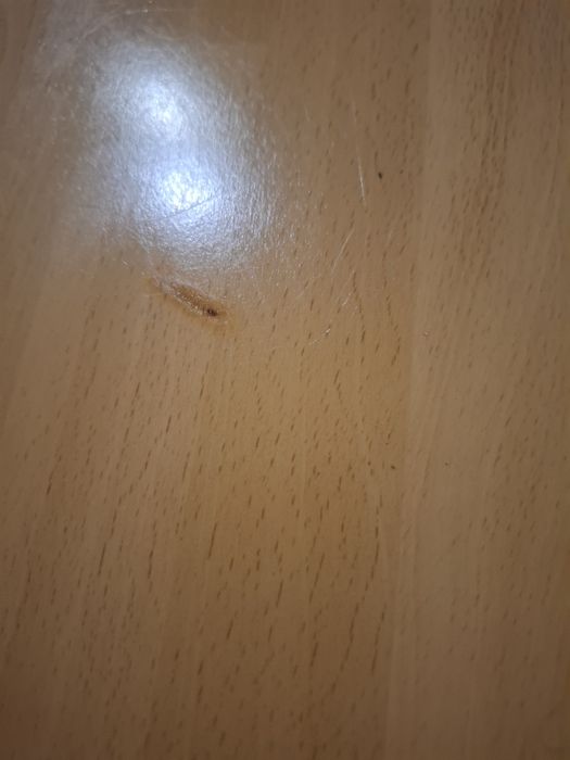 Ława stolik z pólką