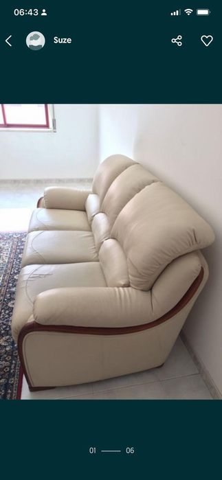 Sofa e poltrona em pele